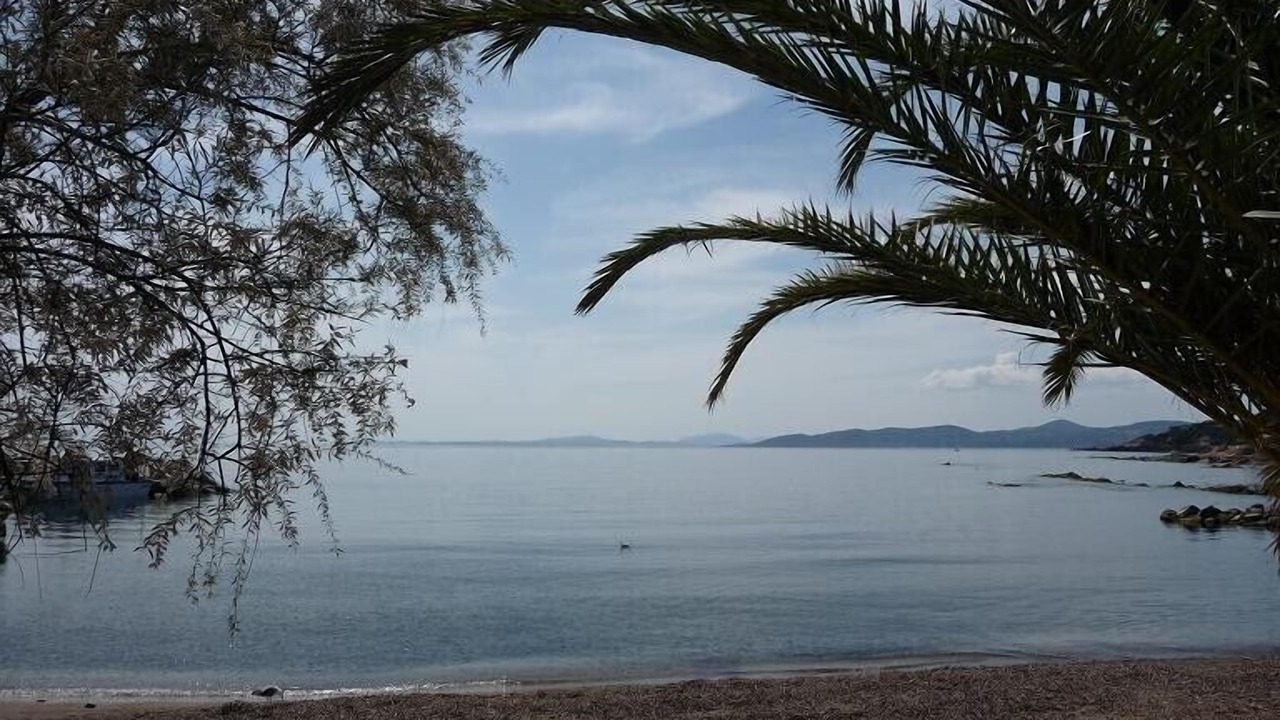 Photo of Others in Frejus Plage