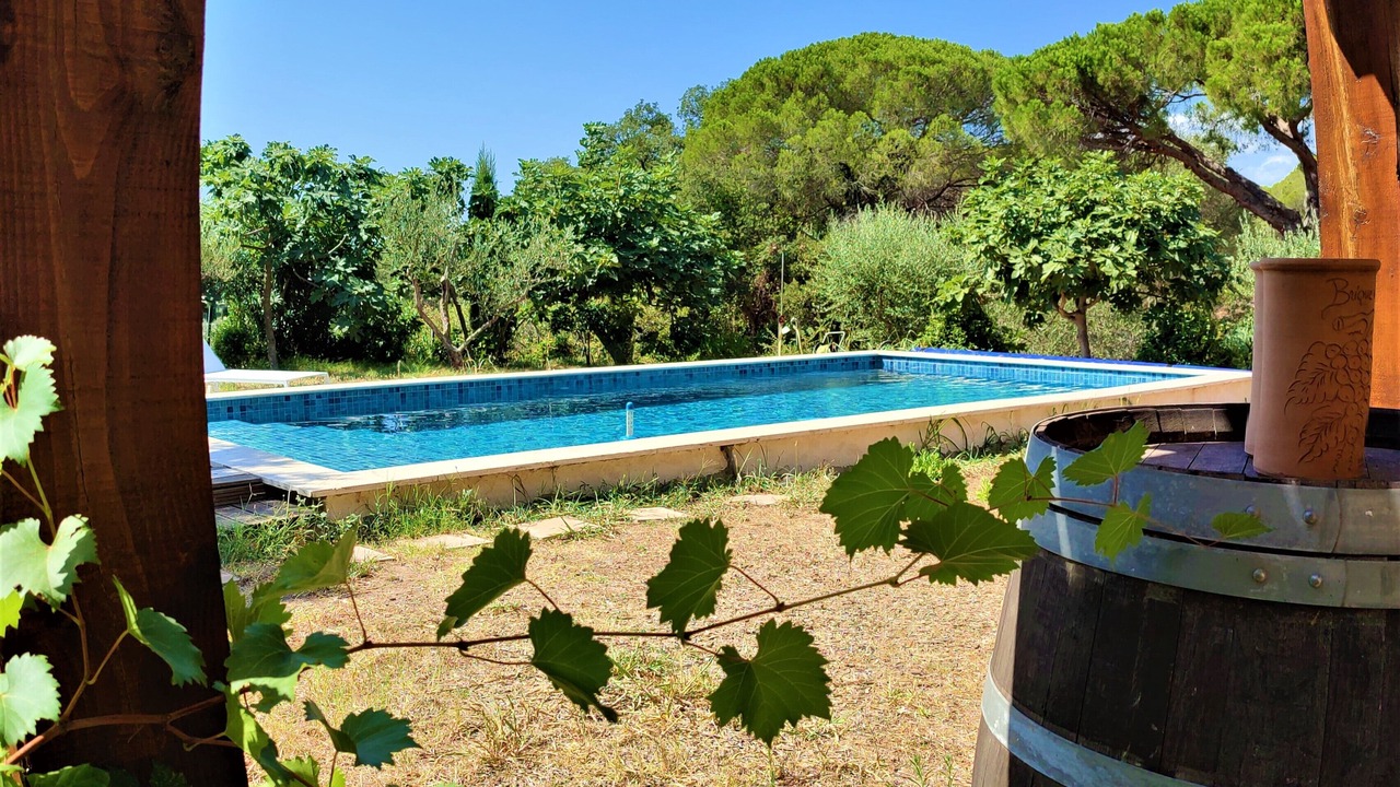 Photo of Outdoor in Frejus