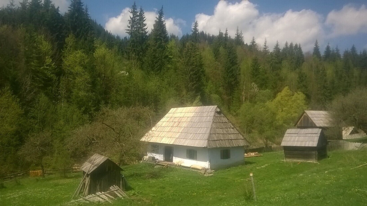 Photo of Outdoor in Faget