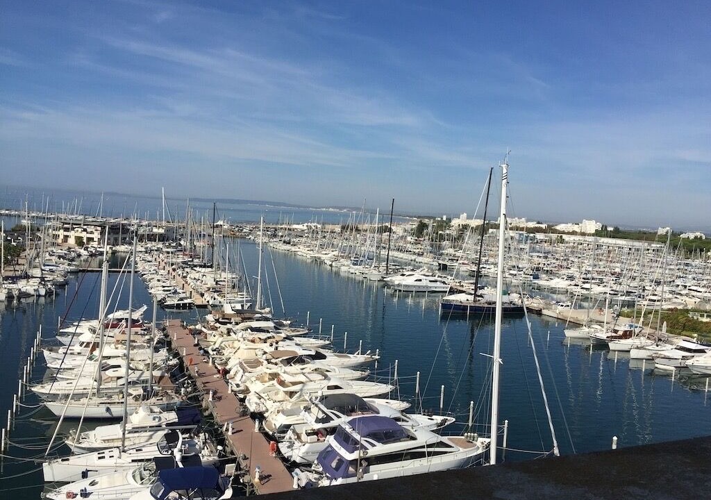 Photo of Others in La Grande-Motte