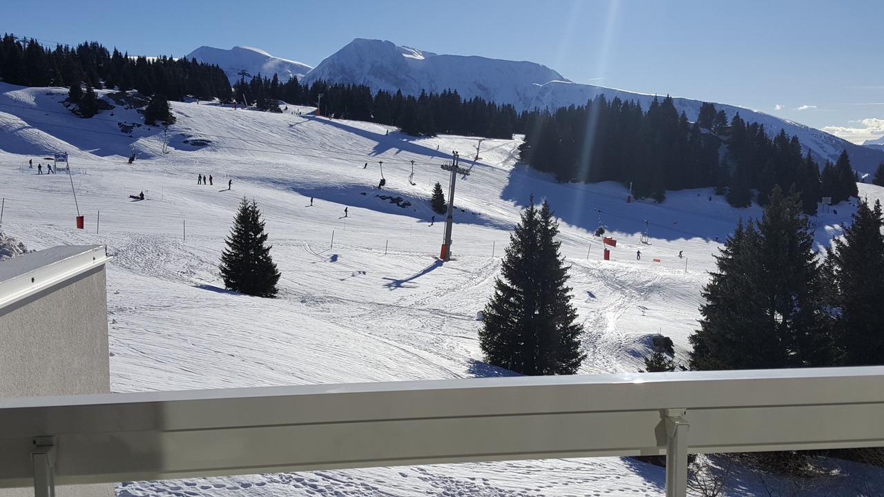 Photo of Others in Chamrousse