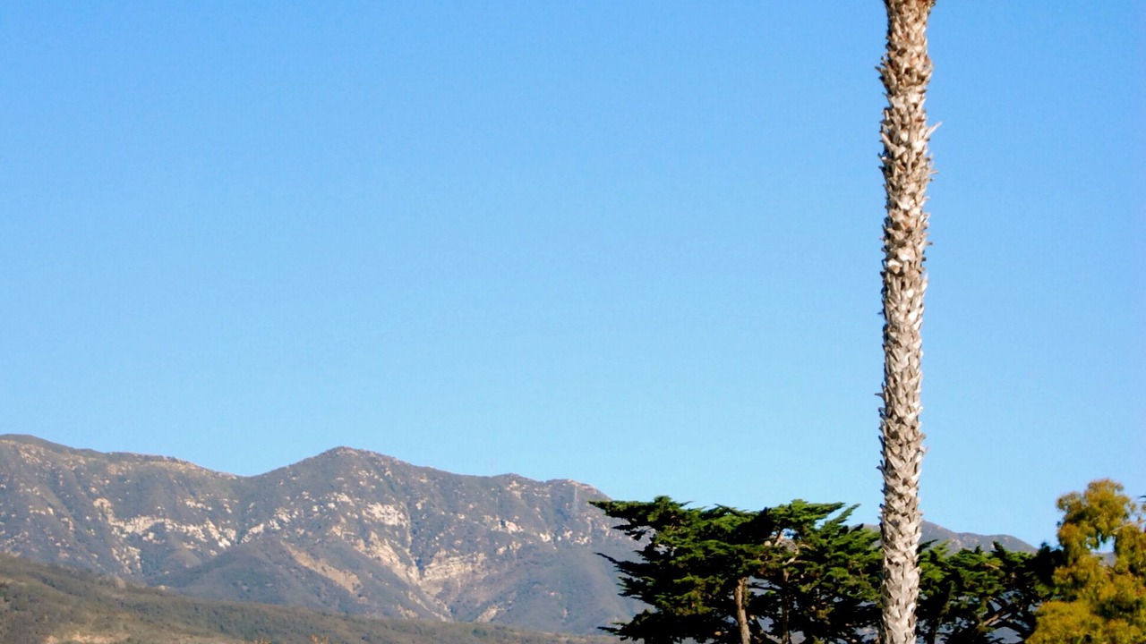 Photo of Others in Carpinteria