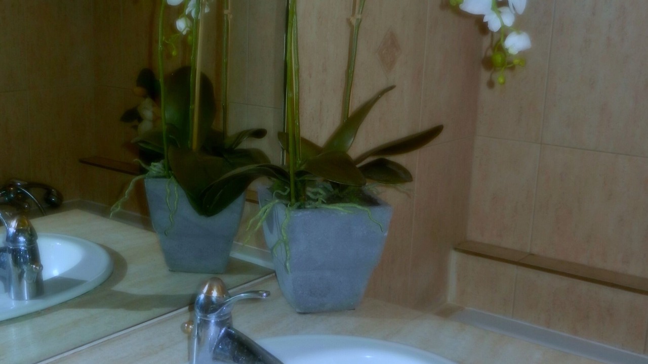Photo of Bathroom in Carcassonne