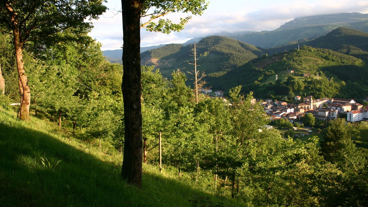 Photo of Outdoor in Dima