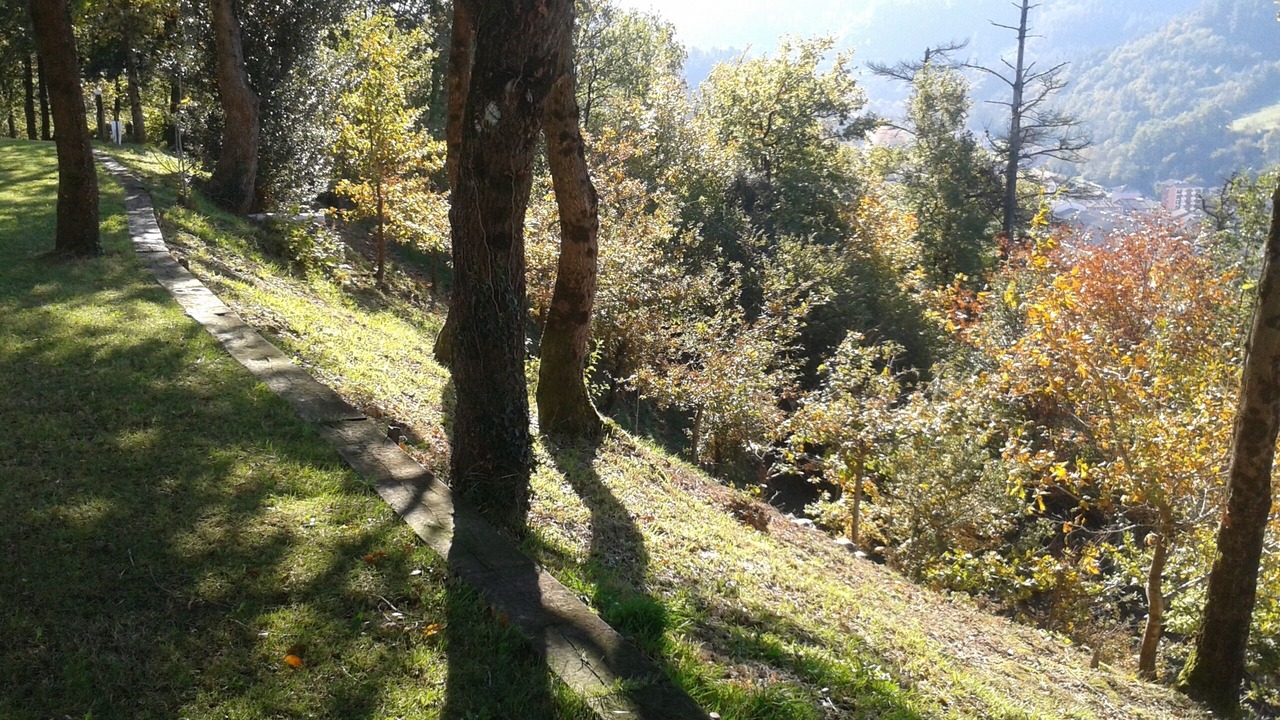 Photo of Outdoor in Dima
