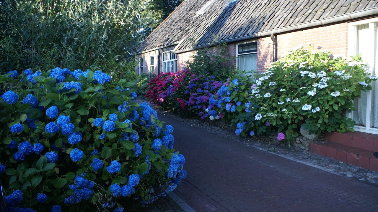 Photo of Others in Diever
