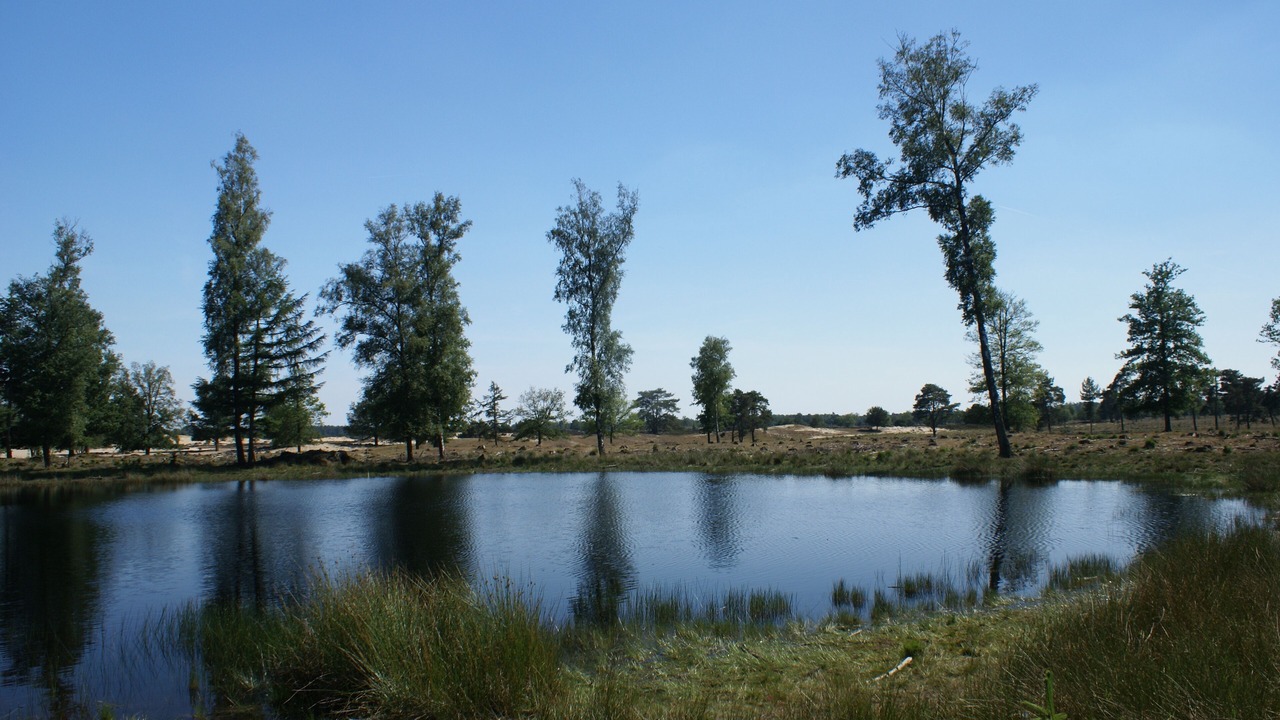 Photo of Others in Diever
