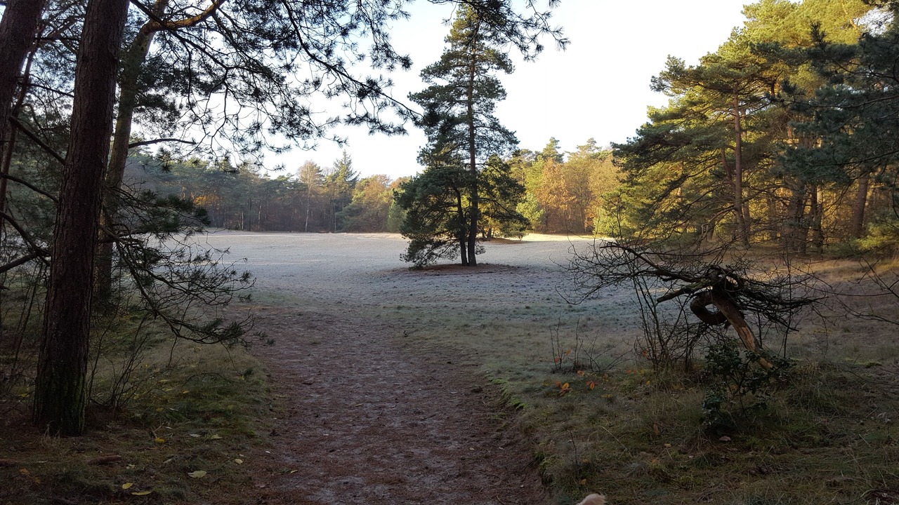Photo of Others in Diever