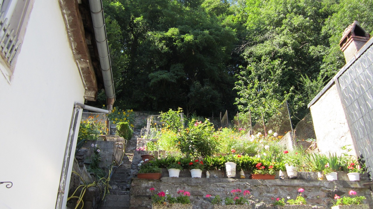 Photo of Outdoor in Sainte-Marie-aux-Mines
