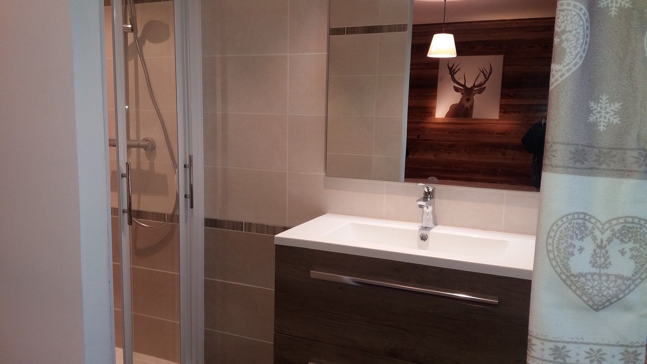 Photo of Bathroom in Valloire