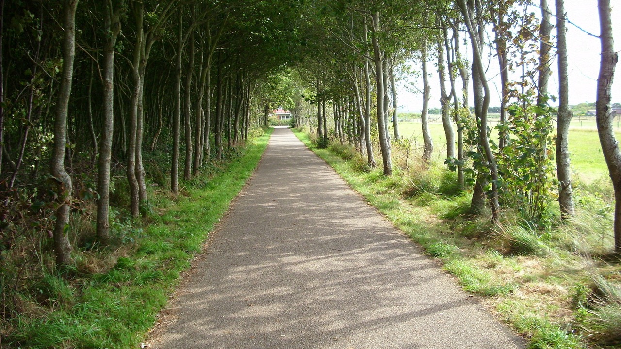 Photo of Outdoor in Municipality of Ameland