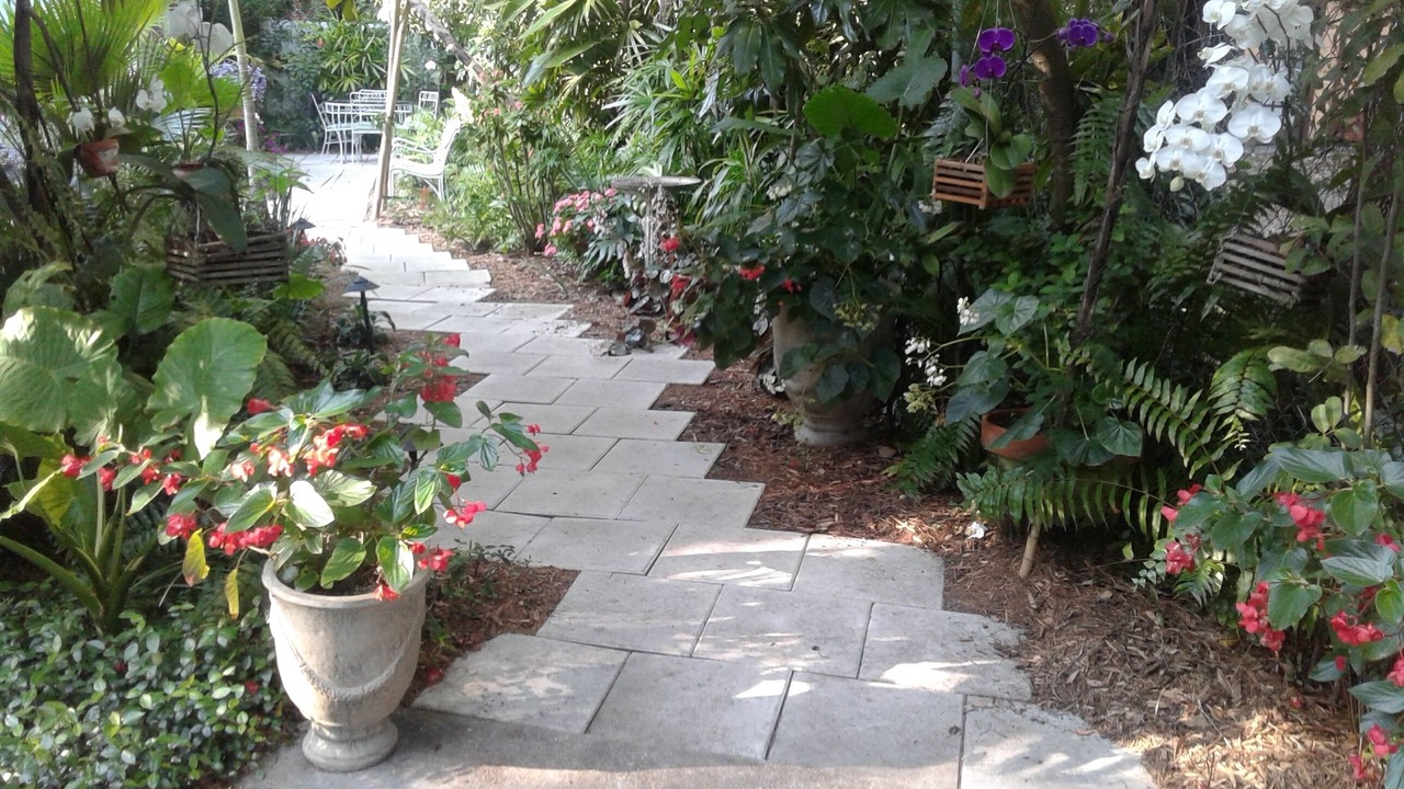 Photo of Outdoor in Central Sarasota