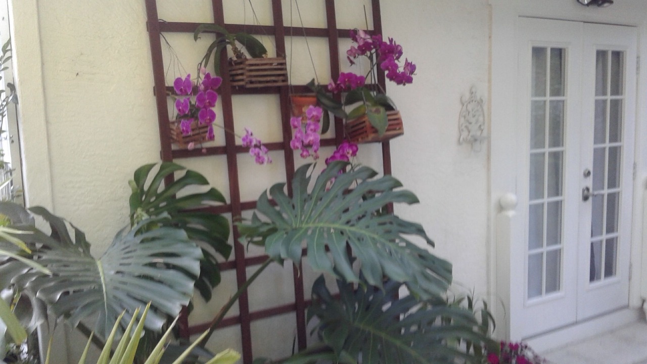 Photo of Outdoor in Central Sarasota