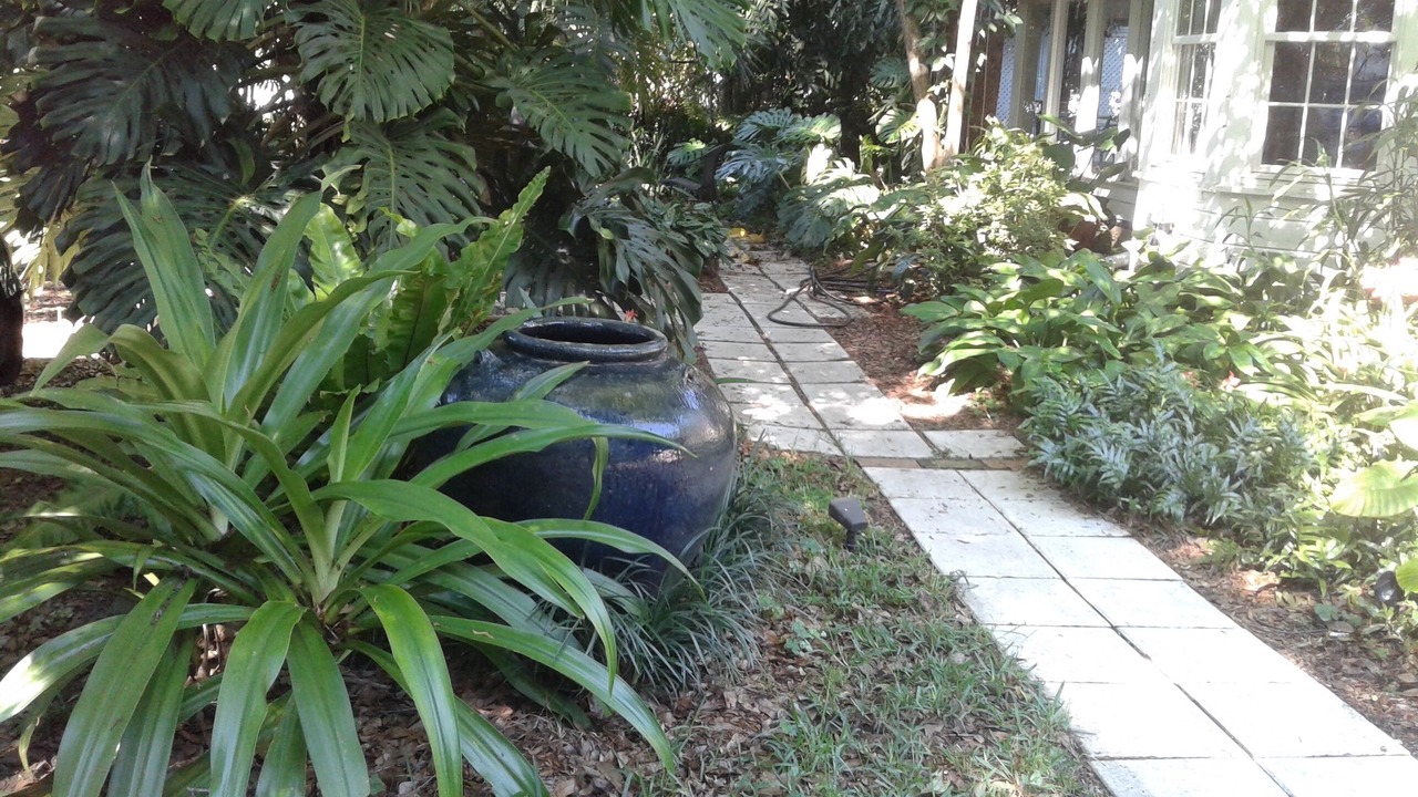 Photo of Outdoor in Central Sarasota