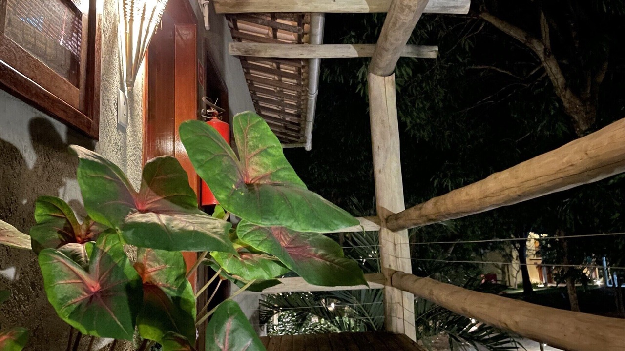 Photo of Outdoor in Pescaria