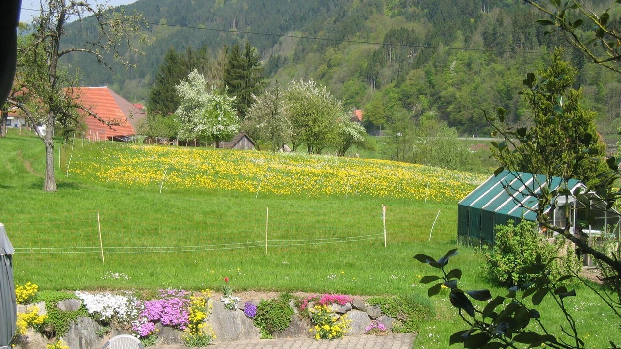 Photo of Outdoor in Gutach