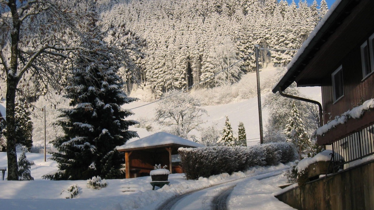 Photo of Outdoor in Gutach