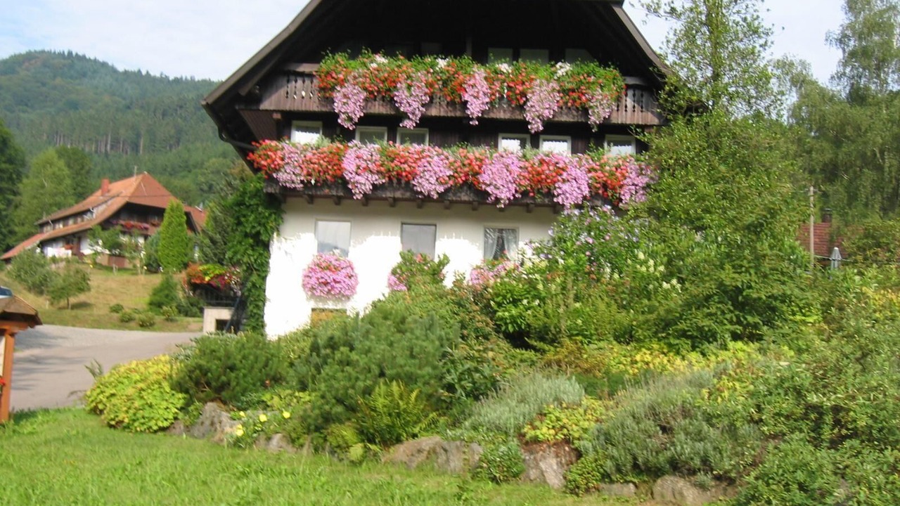 Photo of Outdoor in Gutach