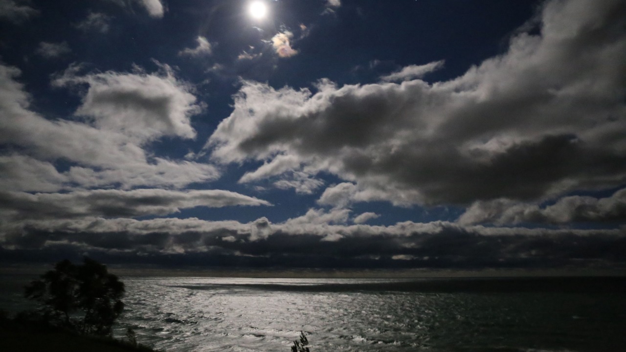 Photo of Others in Ludington