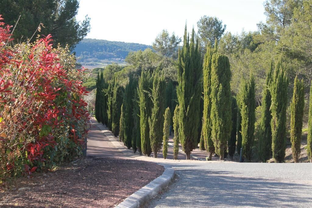 Photo of Outdoor in La Motte