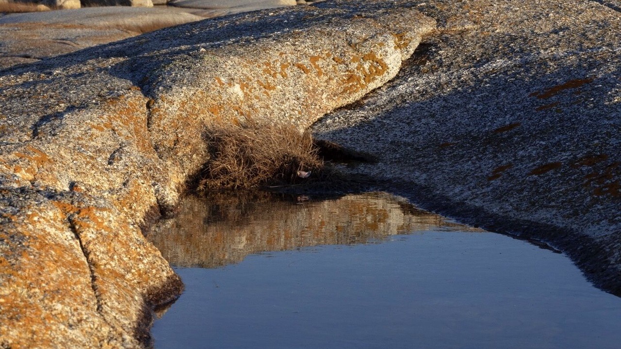 Photo of Others in Peggy's Cove