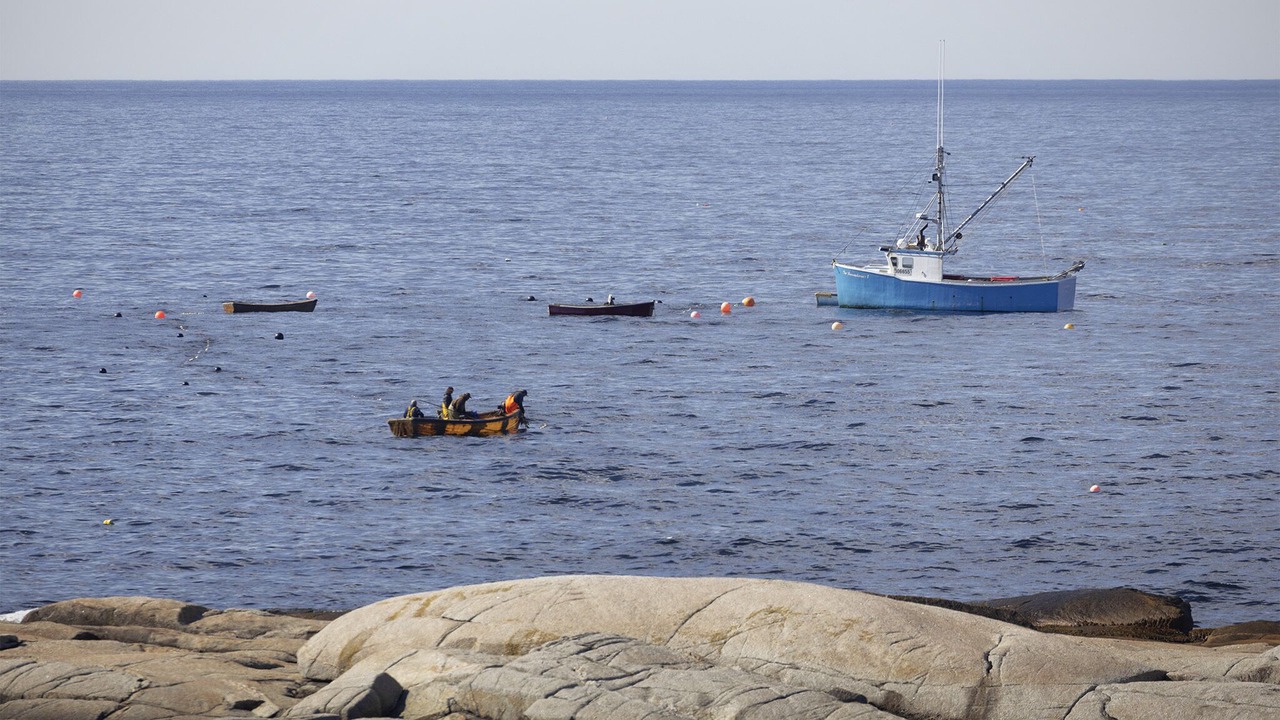Photo of Others in Peggy's Cove