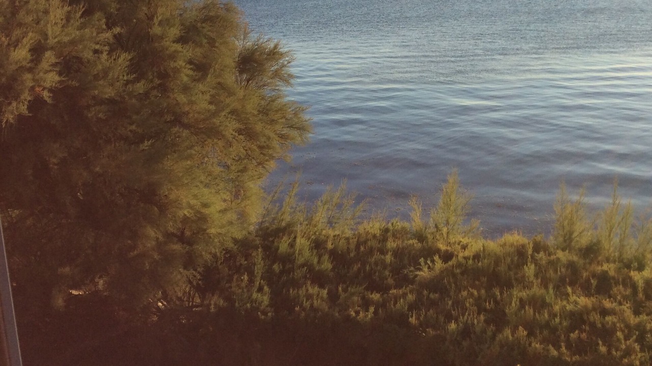 Photo of Others in Roscoff