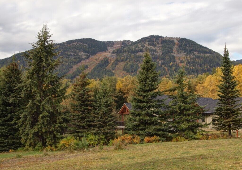 Photo of Others in Rossland