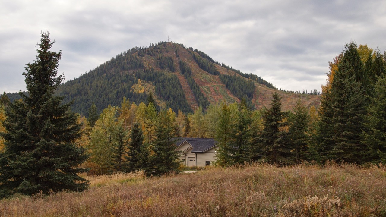 Photo of Others in Rossland