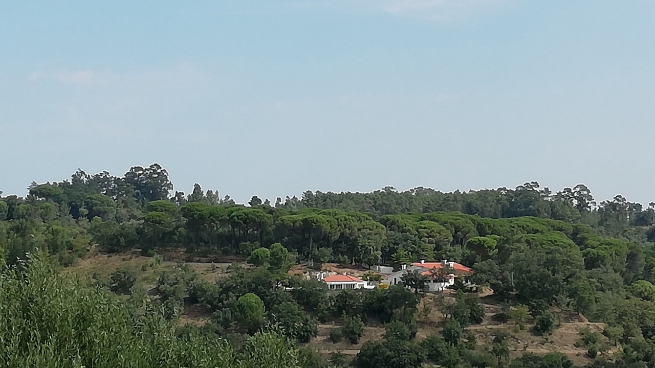 Photo of Others in Ourem