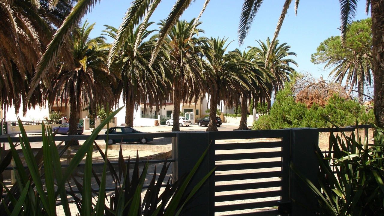 Photo of Outdoor in Ericeira