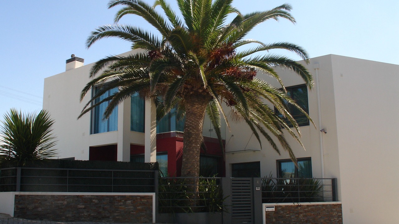 Photo of Outdoor in Ericeira