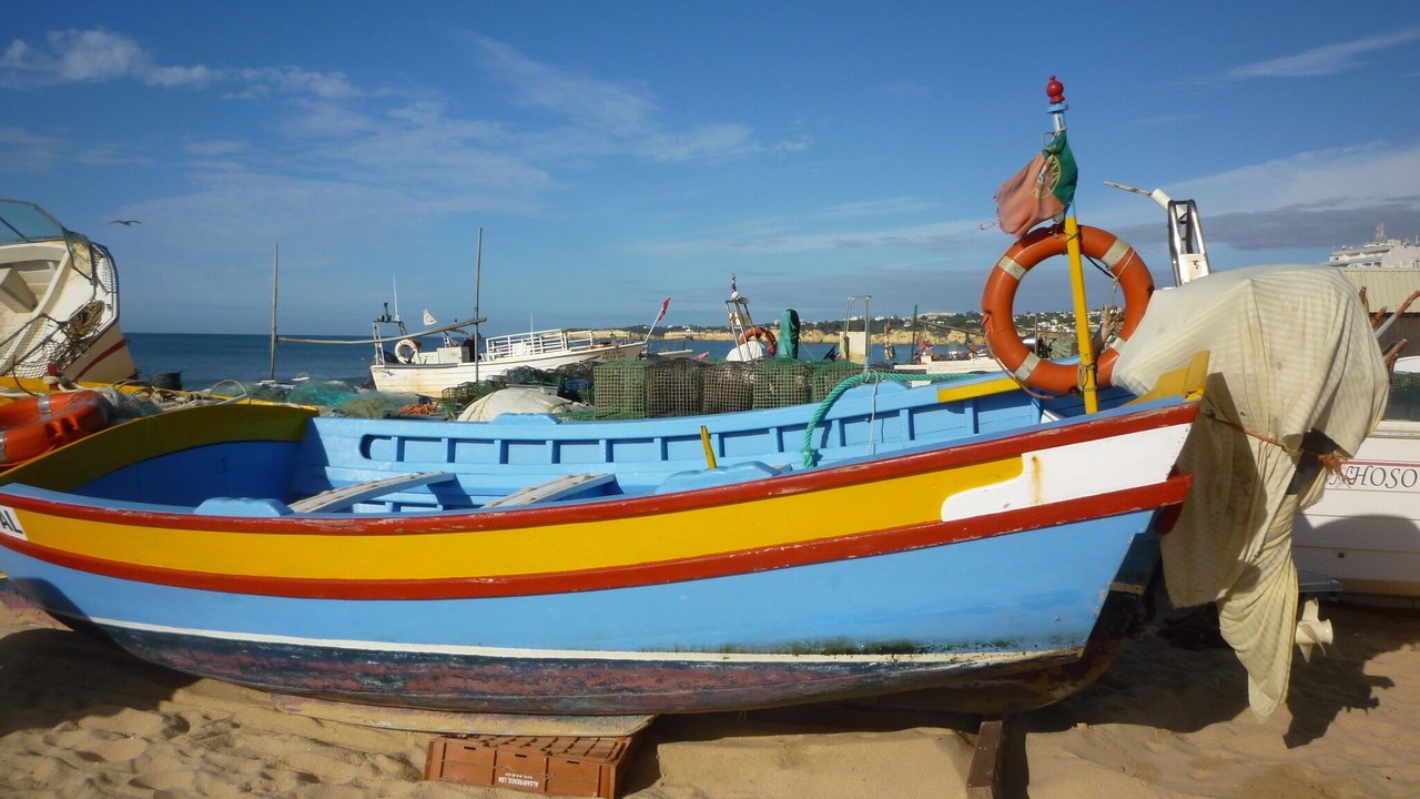 Photo of Others in Alporchinhos