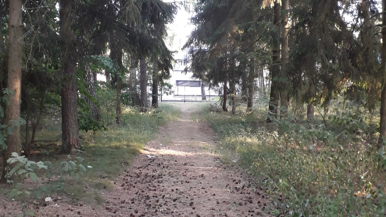 Photo of Outdoor in Lukecin