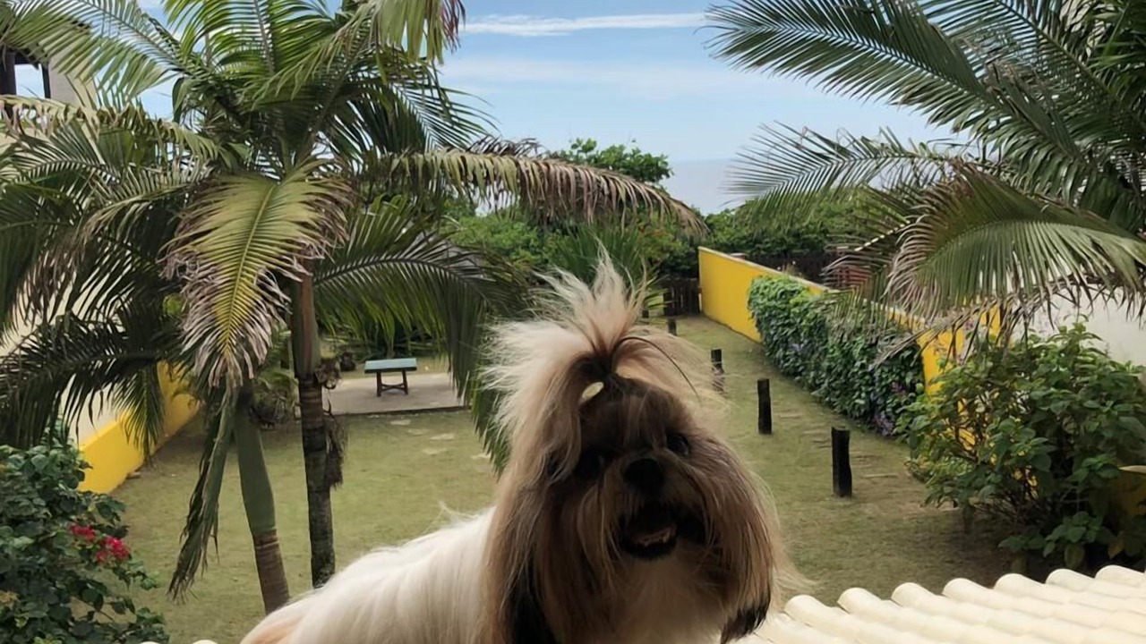 Photo of Outdoor in Guaratuba