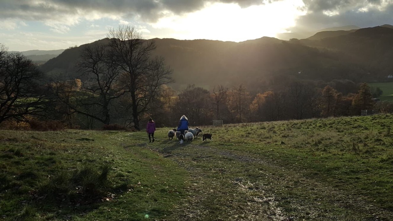 Photo of Others in Ambleside