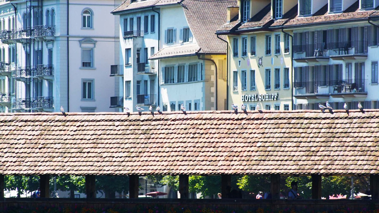 Photo of Others in Lucerne