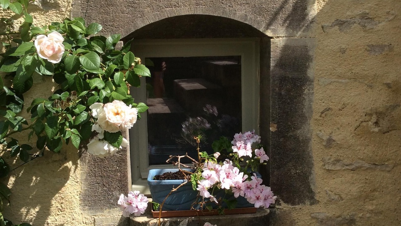 Photo of Outdoor in Flavigny-sur-Ozerain