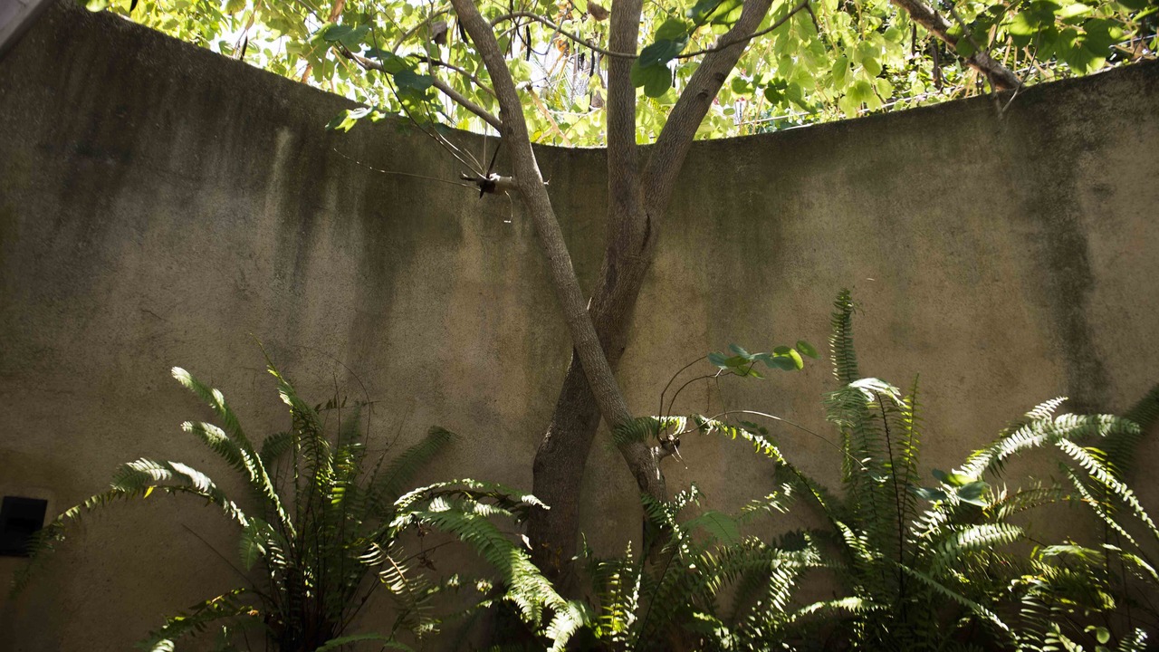 Photo of Outdoor in Unawatuna