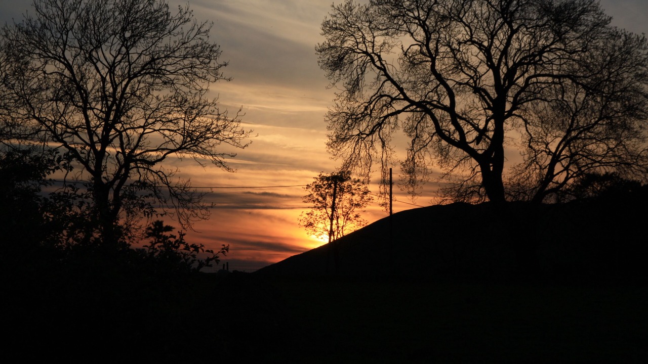 Photo of Outdoor in Newton Grange