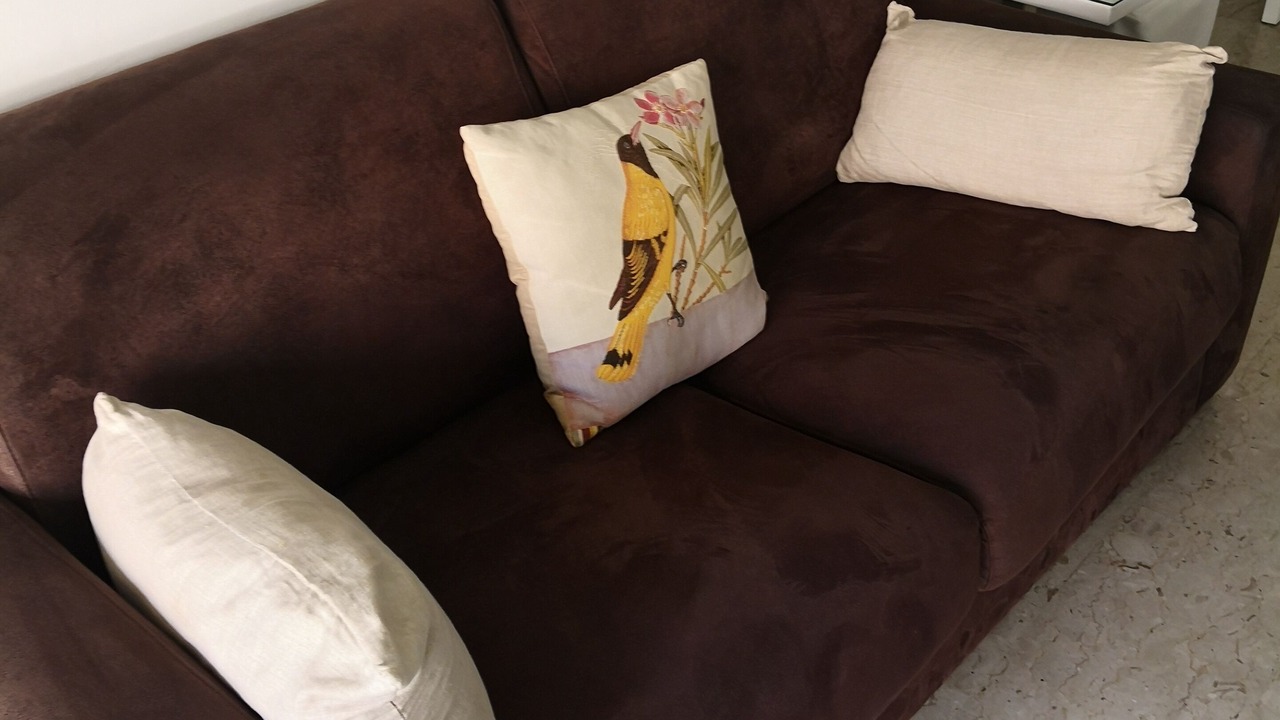 Photo of Livingroom in Jean-Medecin