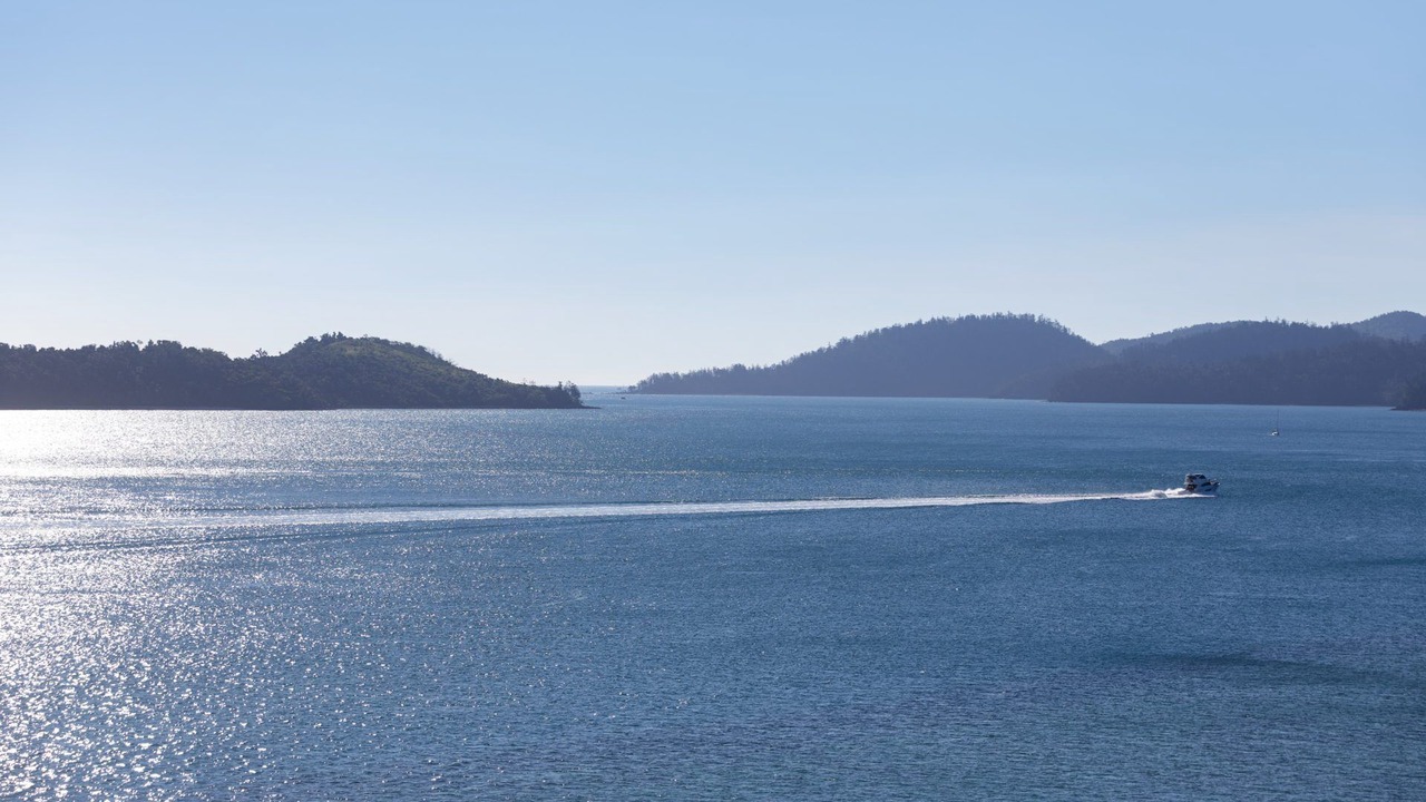 Photo of Others in Hamilton Island