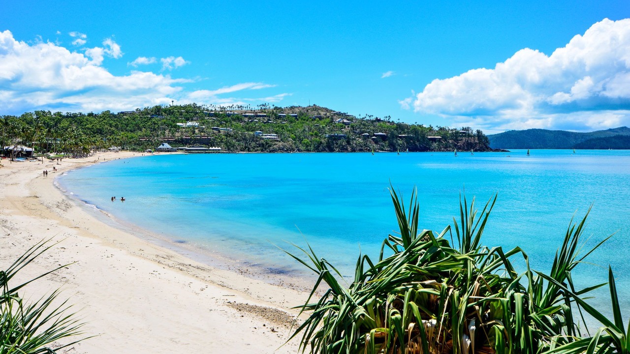 Photo of Others in Hamilton Island