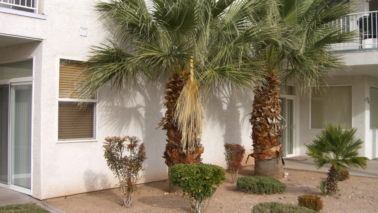 Photo of Outdoor in St. George