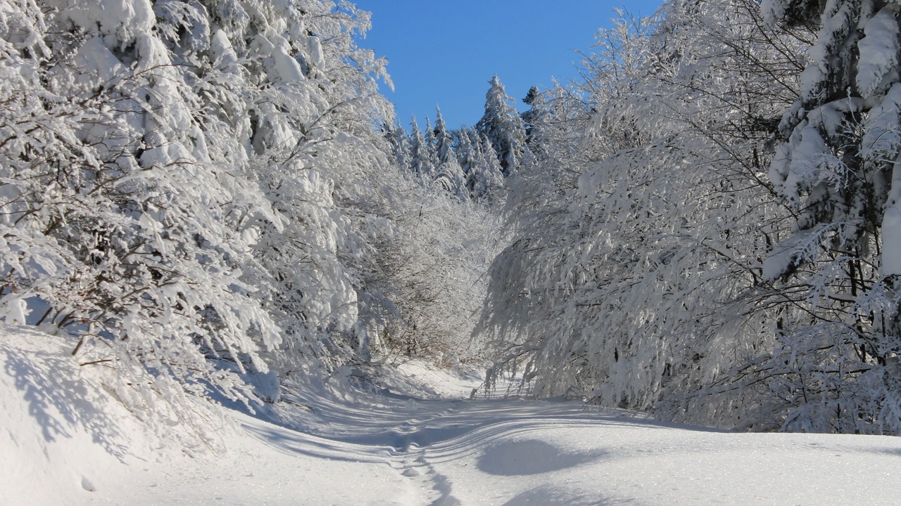 Photo of Others in Gerardmer