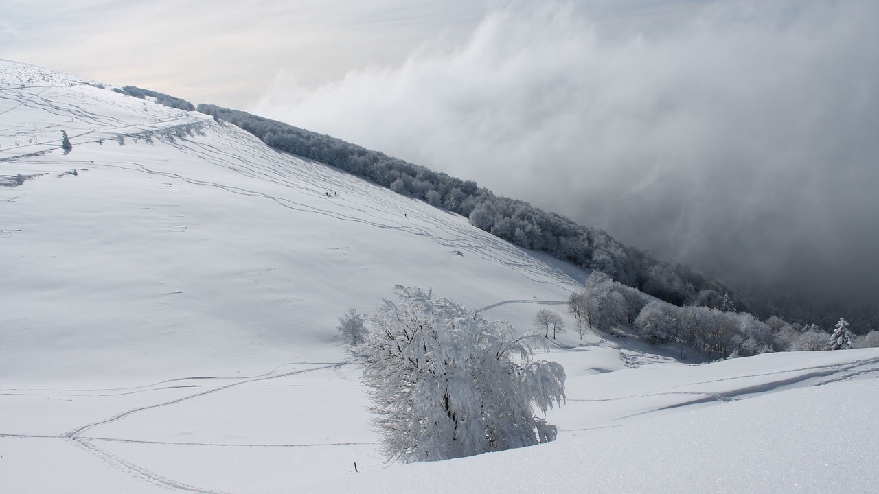 Photo of Others in Gerardmer