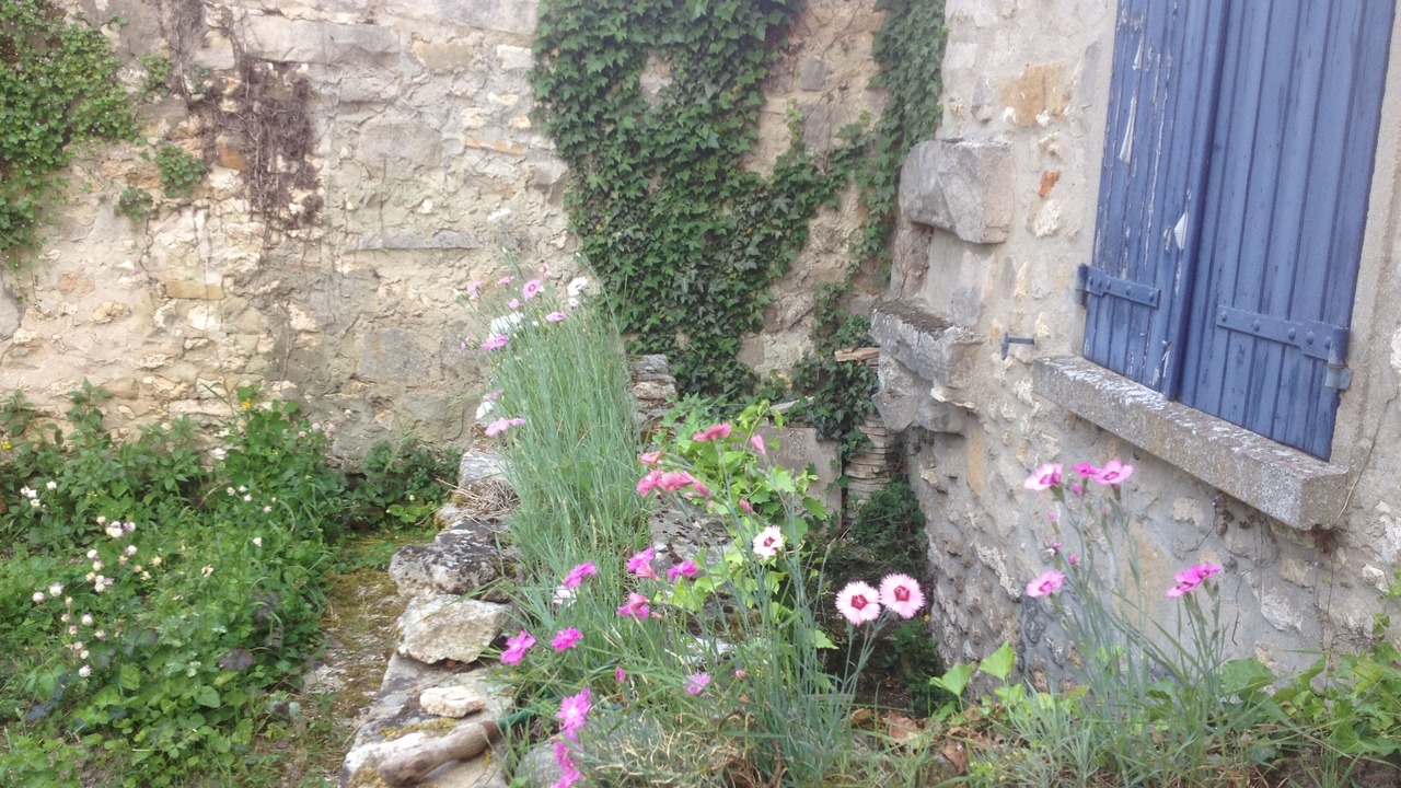 Photo of Outdoor in Soisy-sur-Ecole