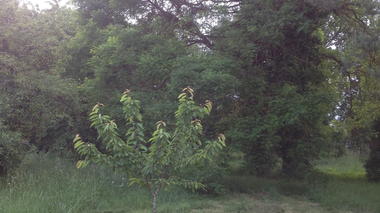 Photo of Outdoor in Soisy-sur-Ecole