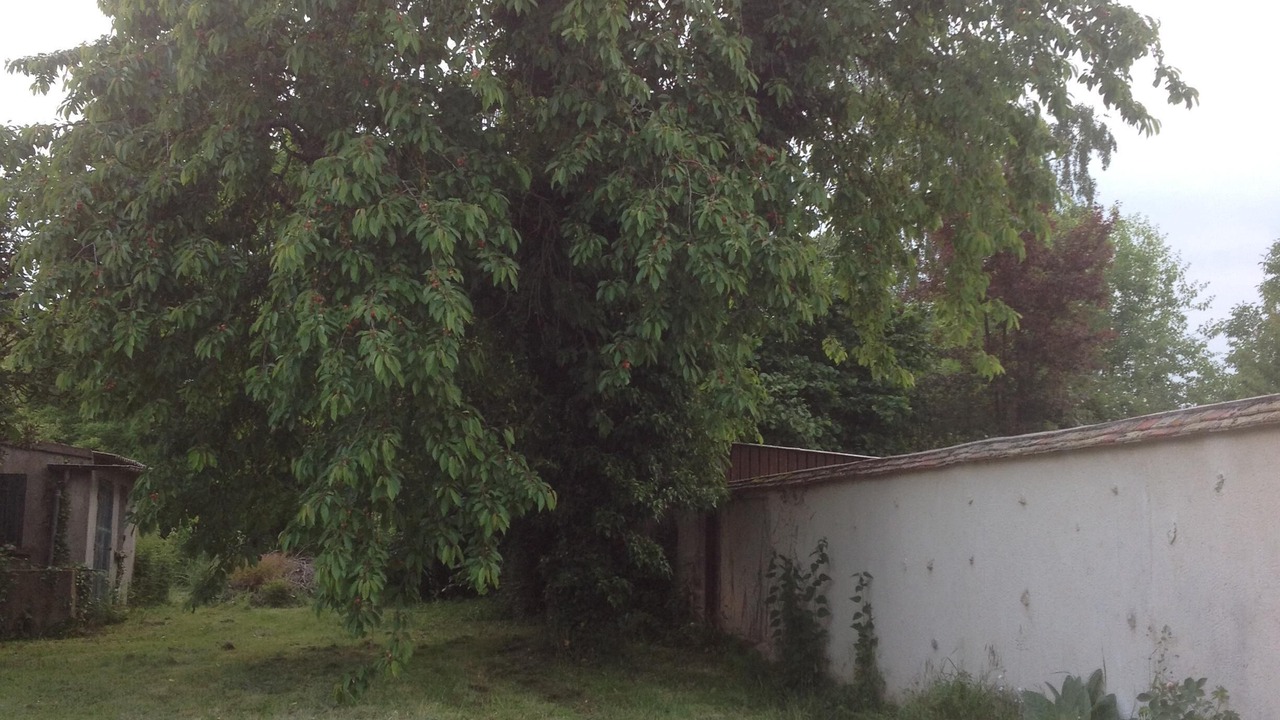 Photo of Outdoor in Soisy-sur-Ecole