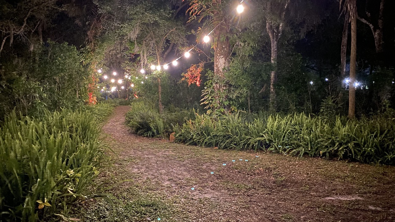 Photo of Others in Sarasota